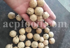 Oak galls wholesale. Acorn gall for sale. Buy acorn plum gall. Aleppo gall for sale. Aleppo oak galls in bulk. Apple gall price. Purchase apple oak gall. California oak galls for sale. Buy fuzzy oak gall. Bulk green oak gall. Oakgalls wholesale. Quercus infectoria gall price.