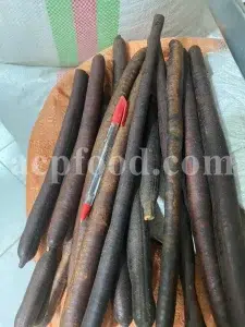 Cassia fistula seeds for sale. Buy golden shower tree seeds. Amaltas tree seeds wholesale. Cassia fistula seed pods in bulk. Kanikonna seeds price. Cassia fistula buy. Amaltas guda for sale. Cassia fistula fruit wholesale.