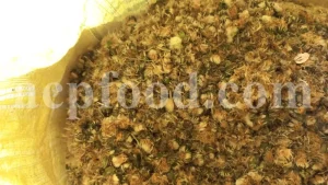 Bulk dandelion. Dandelion root price. Taraxacum officinale tea for sale. Taraxacum leaf wholesale. Dandelion root taraxacum officinale. Buy taraxacum officinale root. Bulk taraxacum officinale leaves. Dandelion flowers for sale.