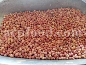 Sour cherries for sale. Buy sour cherries. Sour cherries price. Purchase sour cherries. Cherry sours bulk. Buy sour cherries near me. Sour cherries for sale near me. Tart cherries for sale near me. Morello cherry for sale. Buy pie cherry. Tart cherry wholesale. Amarelle cherry in bulk. Sour cherry wholesale. Bulk dried tart cherry. Buy dehydrated tart cherries. Dried red tart cherries for sale. Tart cherry price.