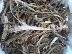 Bulk white willow bark. White willow bark for sale. Willow bark wholesale. White willow bark bulk. Purchase dried white willow bark. Salix alba willow bark wholesale. The willow's bark in bulk. Weeping willow white bark. White willow bark salix alba. White willow leaves for sale. Salix alba leaf price. Salix alba leaves wholesale. White willow tree leaves.