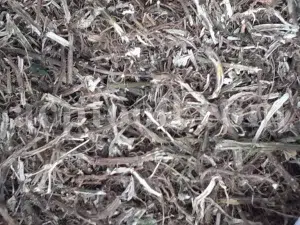 Buy dried nettles. Organic dried nettle leaves for sale. Buy dried nettle tea. Buy stinging nettles. Nettle seeds for sale. Buy stinging nettle tea. Nettle leaves for sale. Bulk stinging nettle. Urtica dioica leaf. Urtica urens buy online.