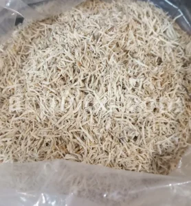 Kuchla seeds for sale. Nux vomica price. Buy nux vomica. Nux vomica seeds for sale. Strychnos nux vomica wholesale. Kuchla price. Bulk kuchila seed.