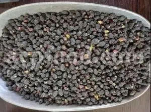 Dried Myrtle leaves for sale. Myrtle leaves purchase. Leaf Myrtle buy. Bulk Mirto leaves. Myrtle leaf tea wholesale price.