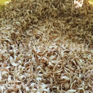 Orange Blossom for sale. Buy Orange Blossom. Orange Blossom buy. Dried Neroli flowers for sale. Citrus Blossom wholesale price. Citrus flowers purchase. Bulk lemon tree flowers. Orange citrus flower for sale. Citrus tree flower wholesale price.
