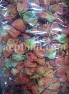 Chinese Lantern for sale. Buy Chinese Lantern. Physalis alkekengi wholesale price. Alkekengi fruit purchase. Alkekengi physalis for sale. Buy Bladder Cherry. Bulk Chinese Lantern Cherry. Ground Cherry Chinese Lantern purchase. Chinese Lantern seedling wholesale price. Physalis alkekengi seeds wholesale price.