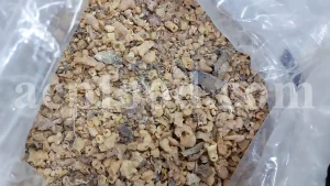 Euphorbia sap for sale. Bulk Euphorbia latex. Buy Euphorbia. Euphorbia milky sap purchase. Spurge for sale.