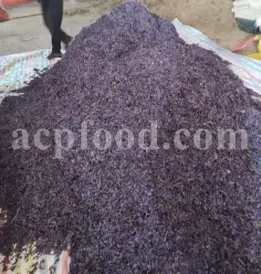 Bulk Echium amoenum for Sale. Buy Persian Borage. Buy Iranian Bugloss with the Best Price. Gol Gav Zaban wholesale price. Bulk Echium amoenum Red Feathers. Borage leaves for sale.