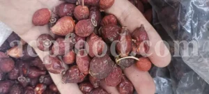 Buy rose hips. Bulk rose hips. Rose hip tea. Rose hip oil bulk. Buy rosehip tea. Buy rosehip powder. Rosehip fruit tea. Buy rosa canina. Buy dog rose. Dog rose petals. Rosa canina buy.