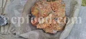 Buy Orpiment. Orpiment pigment. Orpiment powder for sale. Golden orpiment purchase. Mineral orpiment wholesale. Orpiment for sale. Buy orpiment paint. Orpiment price. Orpiment and realgar for sale. Buy orpiment realgar. Bulk orpiment with realgar. Orpiment yellow for sale. Pigment orpiment. Realgar mineral buy. Red orpiment purchase. Orpiment crystal for sale. Buy arsenic disulfide.