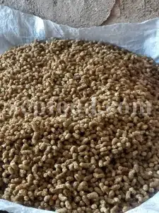 Bulk dried white mulberry. Dried mulberries for sale. Dried white berries in bulk. Buy raw dried mulberries. Purchase sun dried mulberries. Sun dried white mulberries wholesale.