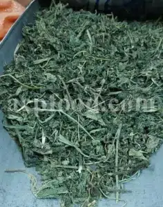 Buy dried nettles. Organic dried nettle leaves for sale. Buy dried nettle tea. Buy stinging nettles. Nettle seeds for sale. Buy stinging nettle tea. Nettle leaves for sale. Bulk stinging nettle. Urtica dioica leaf. Urtica urens buy online.