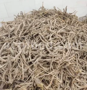 Best black licorice. Black licorice for sale. Bulk black licorice. Buy black licorice. Black licorice near me. Where to buy black licorice. Buy black liquorice. Glycyrrhiza glabra rhizome.