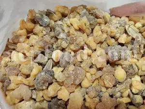 Ferula moschata root wholesale price. Ferula sumbul root purchase. Muskroot in bulk. Buy Sumbul root. Musk root for sale.