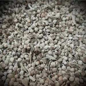 Chaste tree berries for sale. Chaste berries wholesale. Buy monk's pepper. Vitex berry in bulk. Chasteberry tea for sale. Bulk vitex chasteberry. Chasteberry vitex agnus castus for sale. Buy chaste berry fruit. Chaste tea for sale. Buy chaste herb tea. Chasteberry for sale. Buy chasteberry.