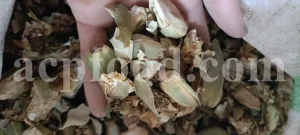 European white waterlily for sale. Buy white water lily. Water lilies for sale. Waterlily tea for sale. Waterlily price. Dried water lily wholesale. Water lily order. Water lily price list. Buy yellow pond lily.