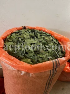 Buy Bay leaves. Bay Leaves for sale. Bay Leaves wholesale price. Bay Laurel for sale. Organic Bay Leaves bulk. Buy Bay Laurel.