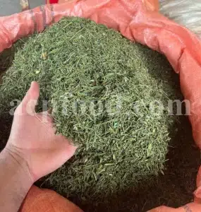 Hyssop wholesale. Hyssopus officinalis dried leaves. Common hyssop dried flowers. Buy hyssop. Hyssop for sale. Hyssop price. Agastache for sale. Hyssop seeds for sale. Buy hyssop near me. Hyssop buy online.