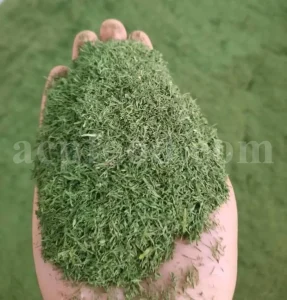 Dried Dill for sale. Buy dried Dill. Dried Dill weed wholesale price. Air dry Dill purchase. Best dried Dill weed. Dill seed for sale. Buy Dill seeds.