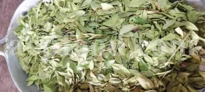 Dried Myrtle leaves for sale. Myrtle leaves purchase. Leaf Myrtle buy. Bulk Mirto leaves. Myrtle leaf tea wholesale price.