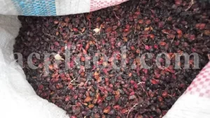 Dried barberry for sale. Buy dried barberry fruit. Zereshk berries wholesale price. Buy barberries. Dried barberries near me. Barberry dried spice for sale. Bulk zereshk fruit. Barberry for sale. Buy barberry. Barberry buy online. Barberry for sale near me. Barberry sale. Barberry to buy. Berberis for sale. Buy zereshk. Barberry dried fruit for sale.
