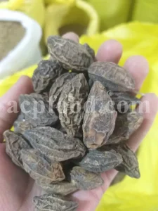 Chebulic myrobalan fruit for sale. Harad fruit wholesale. Myrobalan plum in bulk. Buy terminalia chebula fruit. Bulk terminalia fruit. Cherry plum myrobalan for sale. Emblic myrobalan price.