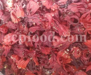 Roselle dried flowers for sale. Dried Rosella flowers. Roselle where to buy. Buy Hibiscus. Hibiscus purchase. Hibiscus flowers near me. Buy hardy Hibiscus. Buy Hibiscus flower. Hardy Hibiscus seeds for sale. Dried Hibiscus flowers wholesale. Whole dried Hibiscus flowers. Buy Hibiscus sabdariffa. Buy Rosella seeds. Hibiscus sabdariffa for sale. Buy Roselle hibiscus. Sorrel Hibiscus sabdariffa for sale.