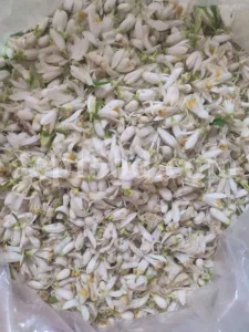 Orange Blossom for sale. Buy Orange Blossom. Orange Blossom buy. Dried Neroli flowers for sale. Citrus Blossom wholesale price. Citrus flowers purchase. Bulk lemon tree flowers. Orange citrus flower for sale. Citrus tree flower wholesale price.