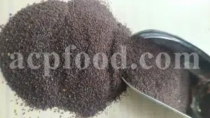 Plantain seeds for sale. Buy plantain seed. Broadleaf plantain seeds wholesale. Bulk Asian plantain seed. Bartang seeds buy. Plantago seed for sale. Buckhorn plantain in bulk. Buy common plantain seed. Plantago major price.