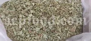 Persian Zizizphora for sale. Bulk Ziziphora tenuior dried leaves. Buy Persian Ziziphora. Ziziphora tenuior dried leaves wholesale price.