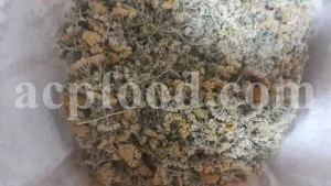 Yarrow for sale. Buy common yarrow. Bloodwort wholesale. Milfoil price. Dried yarrow for sale. Yarrow price. Dried yarrow flowers for sale. Yarrow tea where to buy. Achillea dried for sale. Buy yarrow tea. Bulk milfoil yarrow tea. White yarrow tea in bulk. Yarrow plant tea purchase. Milfoil tea price.