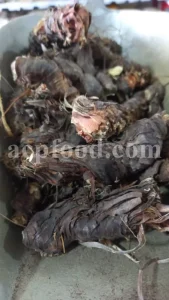 Buy orris root. Dried orris root wholesale. Ground orris root. Buy iris flower root. Orris iris root price. Orris rhizome for sale. Orris root price. Purchase orris root. Rare iris bulbs for sale. Iris bulbs for sale bulk. Buy iris rhizomes.
