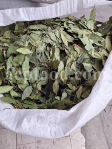 Buy Bay leaves. Bay Leaves for sale. Bay Leaves wholesale price. Bay Laurel for sale. Organic Bay Leaves bulk. Buy Bay Laurel.