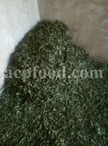 Dried Lemon Balm for sale. Melissa Lemon Balm buy. Lemon Balm bulk. Lemon Balm for sale. Organic Lemon Balm leaf in bulk.