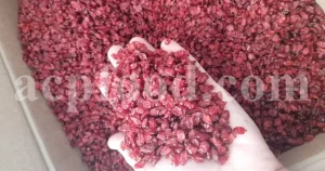 Dried barberry for sale. Buy dried barberry fruit. Zereshk berries wholesale price. Buy barberries. Dried barberries near me. Barberry dried spice for sale. Bulk zereshk fruit. Barberry for sale. Buy barberry. Barberry buy online. Barberry for sale near me. Barberry sale. Barberry to buy. Berberis for sale. Buy zereshk. Barberry dried fruit for sale.