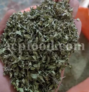 Persian Zizizphora for sale. Bulk Ziziphora tenuior dried leaves. Buy Persian Ziziphora. Ziziphora tenuior dried leaves wholesale price.