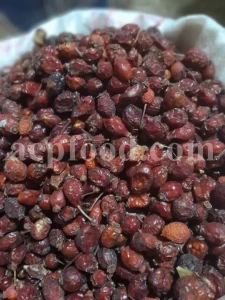 Buy rose hips. Bulk rose hips. Rose hip tea. Rose hip oil bulk. Buy rosehip tea. Buy rosehip powder. Rosehip fruit tea. Buy rosa canina. Buy dog rose. Dog rose petals. Rosa canina buy.