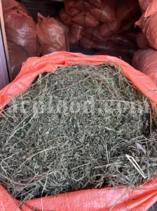 Hyssop wholesale. Hyssopus officinalis dried leaves. Common hyssop dried flowers. Buy hyssop. Hyssop for sale. Hyssop price. Agastache for sale. Hyssop seeds for sale. Buy hyssop near me. Hyssop buy online.