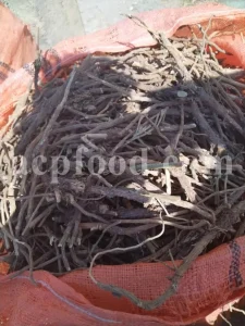 Cichorium intybus tea. Cichorium intybus root. Dried chicory flowers for sale. Buy wild chicory leaves. Buy chicory. Chicory for sale. chicory price. Bulk chicory tea. Chicory root wholesale. Chicory root tea.
