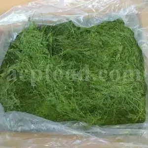 Dried Dill for sale. Buy dried Dill. Dried Dill weed wholesale price. Air dry Dill purchase. Best dried Dill weed. Dill seed for sale. Buy Dill seeds.