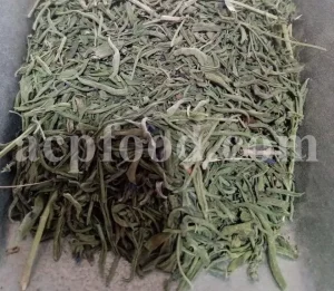 Hyssop wholesale. Hyssopus officinalis dried leaves. Common hyssop dried flowers. Buy hyssop. Hyssop for sale. Hyssop price. Agastache for sale. Hyssop seeds for sale. Buy hyssop near me. Hyssop buy online.