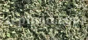 Dried Lemon Balm for sale. Melissa Lemon Balm buy. Lemon Balm bulk. Lemon Balm for sale. Organic Lemon Balm leaf in bulk.