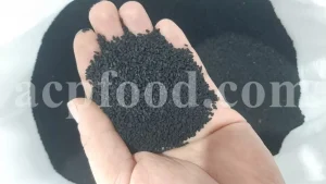 Black seed for sale. Buy black seeds. Bulk black seed. Black cumin seed price. Kalonji seeds. Nigella seeds where to buy. Black seed near me. Black cumin seeds for sale. Nigella sativa seeds for sale. Buy black cumin. Nigella seeds near me. Black cumin seed bulk. Black seed nigella sativa buy. Black seed wholesale. Black cumin seeds price per kg. Black caraway seeds near me. Nigella sativa seeds buy.