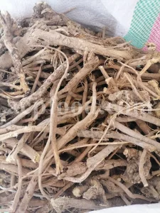 Cichorium intybus tea. Cichorium intybus root. Dried chicory flowers for sale. Buy wild chicory leaves. Buy chicory. Chicory for sale. chicory price. Bulk chicory tea. Chicory root wholesale. Chicory root tea.