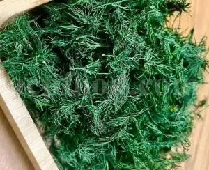 Gum Arabic purchase. Gum Arabic for sale. Buy Gum Arabic. Acacia Gum wholesale price. Buy Acacia senegal gum. Bulk Acacia Arabic gum. Acacia Catechu gum for sale. Arabic Bitter Gum wholesale. Arabic Gummi for sale.