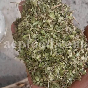 Persian Zizizphora for sale. Bulk Ziziphora tenuior dried leaves. Buy Persian Ziziphora. Ziziphora tenuior dried leaves wholesale price.