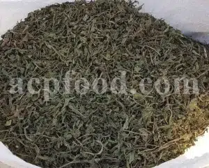 Cichorium intybus tea. Cichorium intybus root. Dried chicory flowers for sale. Buy wild chicory leaves. Buy chicory. Chicory for sale. chicory price. Bulk chicory tea. Chicory root wholesale. Chicory root tea.