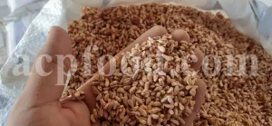 Dried Pomegranate flowers for sale. Buy Pomegranate seeds. Dried Pomegranate skin wholesale price. Gule Anar purchase.