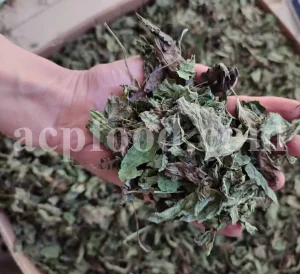 Dried Lemon Balm for sale. Melissa Lemon Balm buy. Lemon Balm bulk. Lemon Balm for sale. Organic Lemon Balm leaf in bulk.