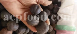 close-up of dried black limes